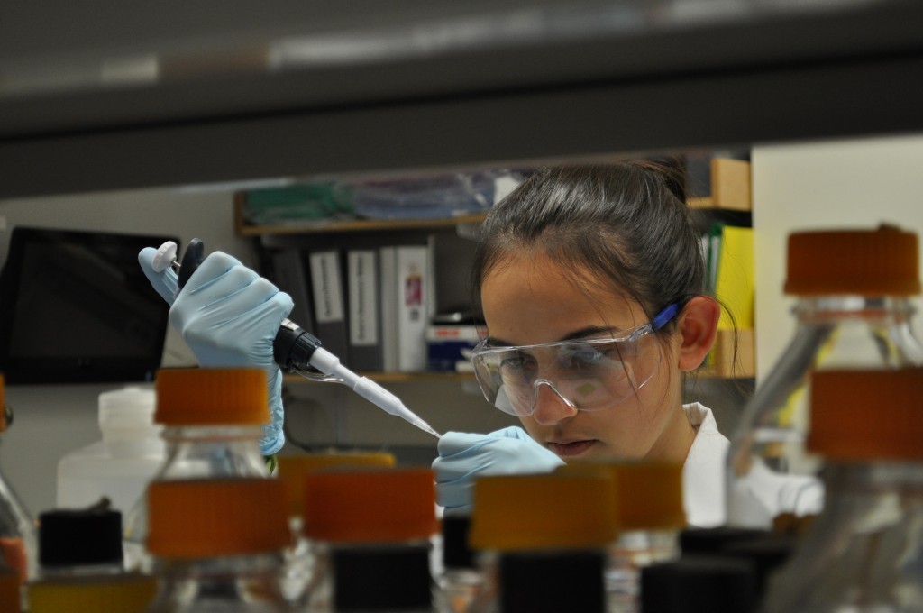 Genes (and PCR) in Space!